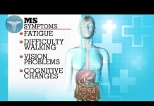 Could diet help slow symptoms of multiple sclerosis?